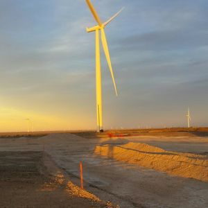 Meet your Posher, Toni